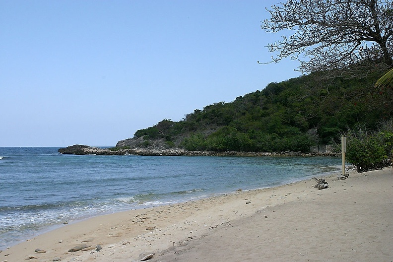 IMG 7741